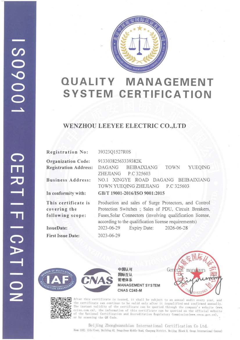 LEEYEE ISO 2023(1)